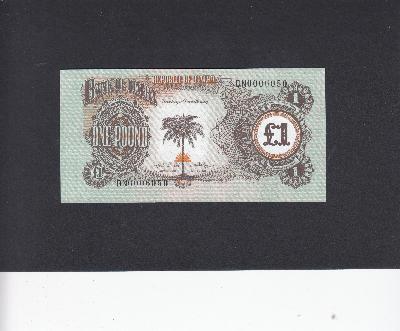 Beschrijving voorzijde: PALM